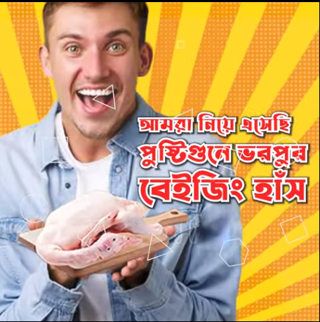 Baiging duck promo video