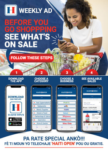 App Promotion Flyer